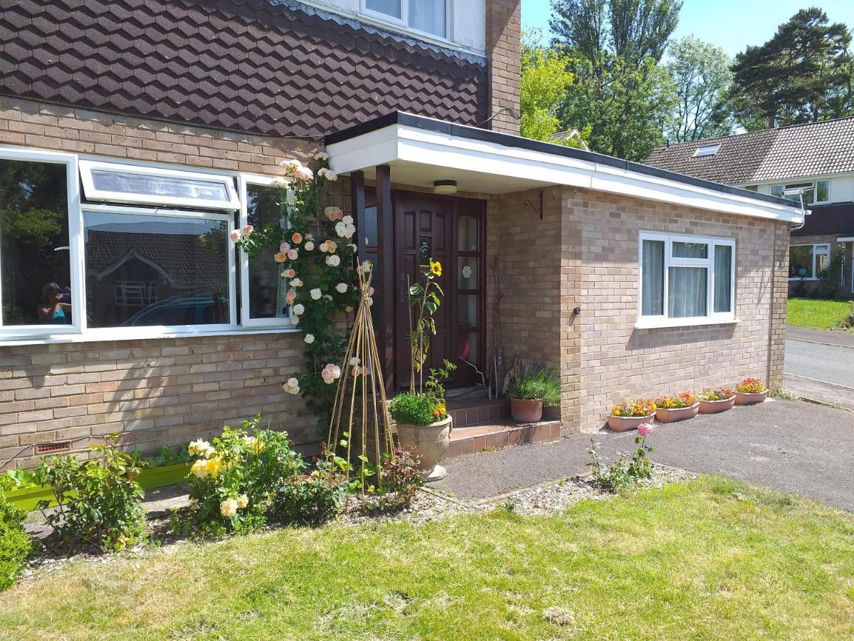 Cheltenham Studio Apartment Exterior photo